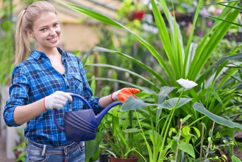 Illustration representing accessibility support for Gardeners Malden Rushett