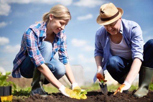 Hedge and shrub maintenance in Malden Rushett