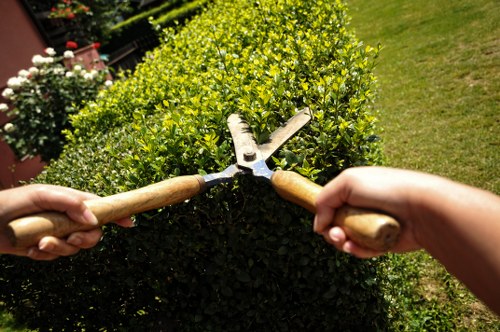 Removal of green waste and debris from a garden