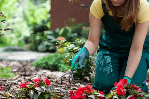 Professional pressure washing a patio in Malden Rushett