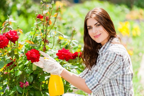 Regular lawn mowing service in Malden Rushett for healthy grass