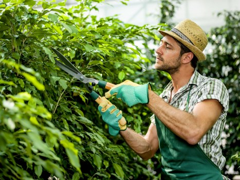 Garden maintenance booking details and site assessment paperwork