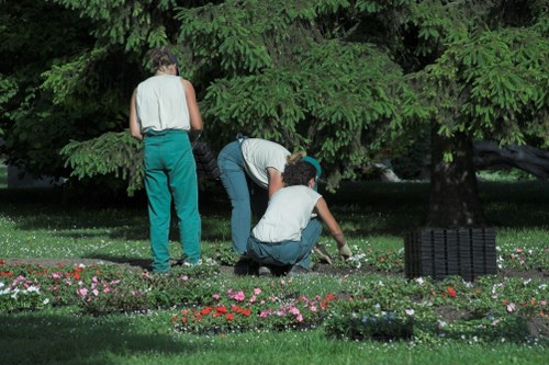 Professional gardeners working safely in an outdoor space