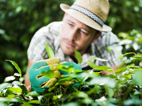 Final stage of a garden complaints procedure
