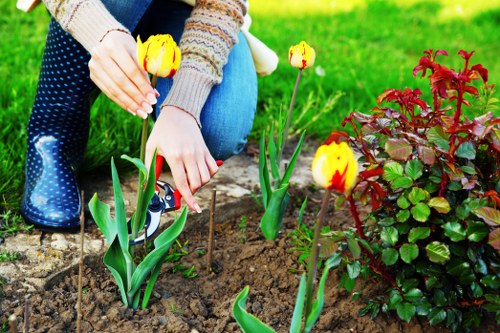 Resolving a gardening service complaint professionally