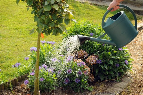 Seasonal hedge trimming in Malden Rushett for tidy outdoor spaces