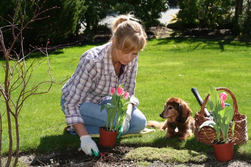 Seasonal planting and greenery for landscape gardening in Malden Rushett