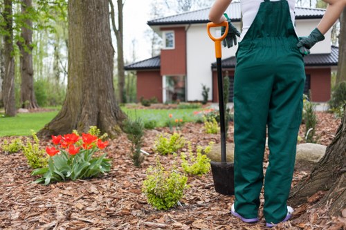 Garden clearance and soft landscaping in Malden Rushett