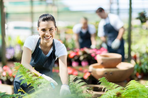 Professional lawn treatment and pruning in Malden Rushett