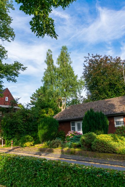 A narrow, well-maintained dirt pathway lined with lush, green hedges on the left and mature trees with thick trunks and vibrant foliage on the right. The trees' branches extend overhead, creating a ca