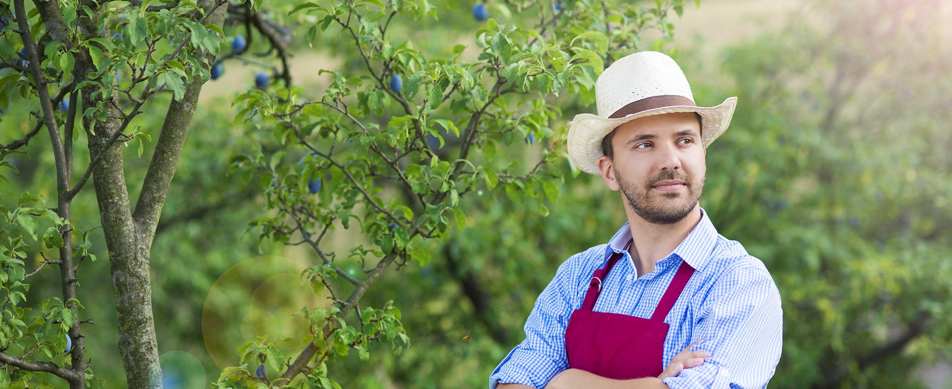 Gardeners Malden Rushett